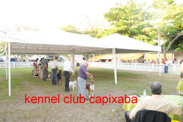 Clique sobre a foto para fechar